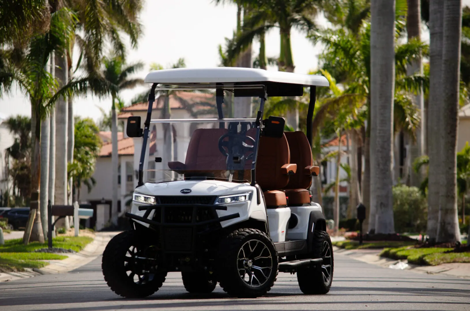 Alset EV Golf Carts
