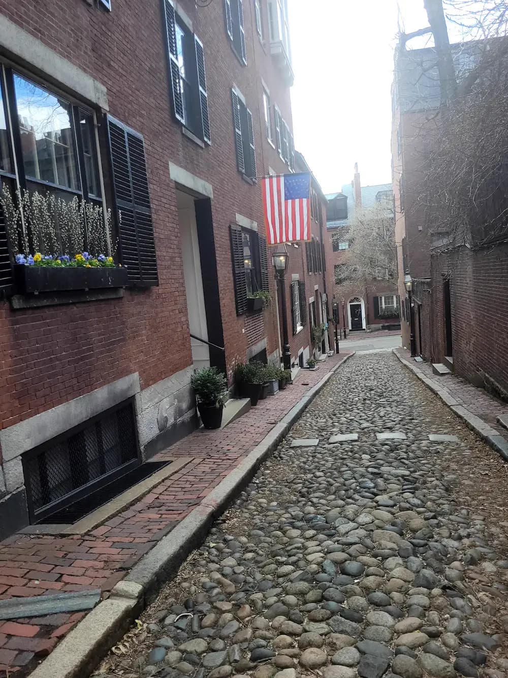 Golf cart services and dealers in Boston