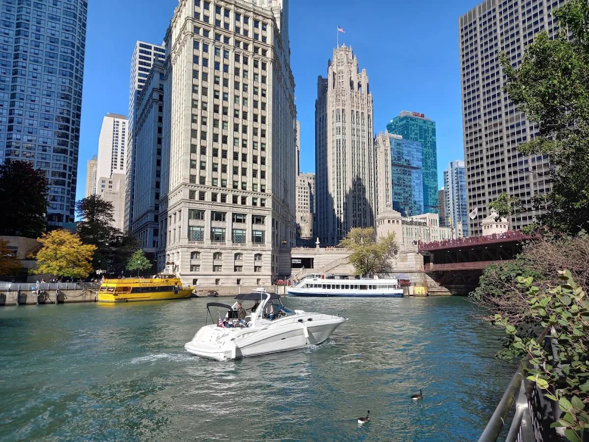 Golf cart services and dealers in Chicago