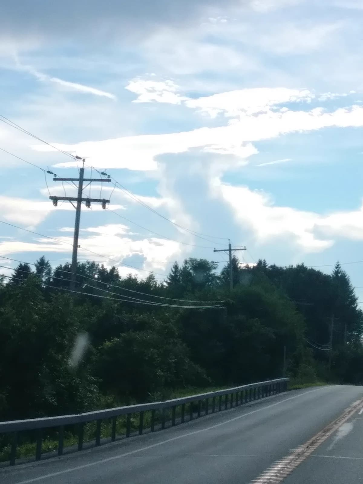 Golf cart services and dealers in Clifton Park