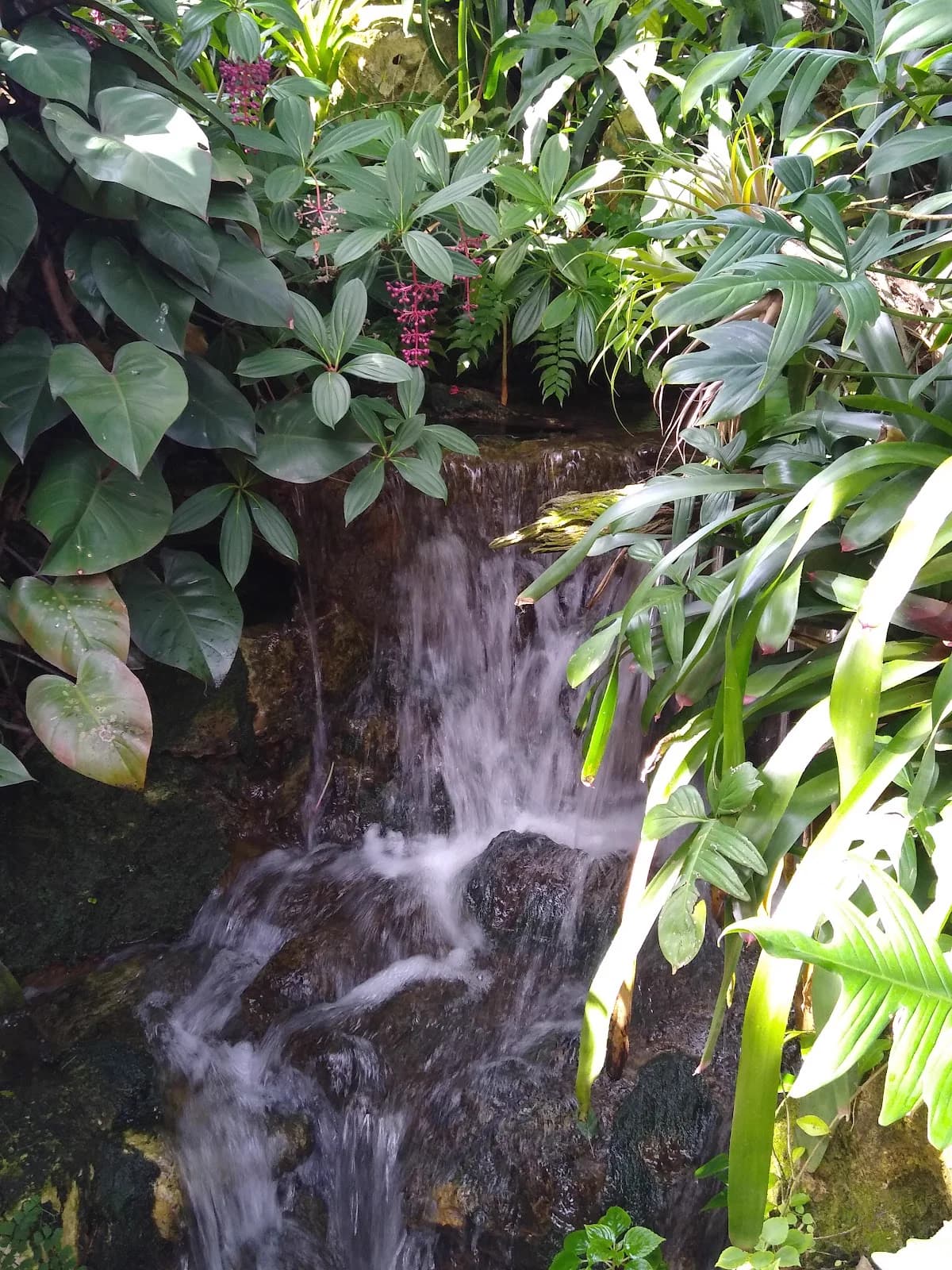 Golf cart services and dealers in Gainesville