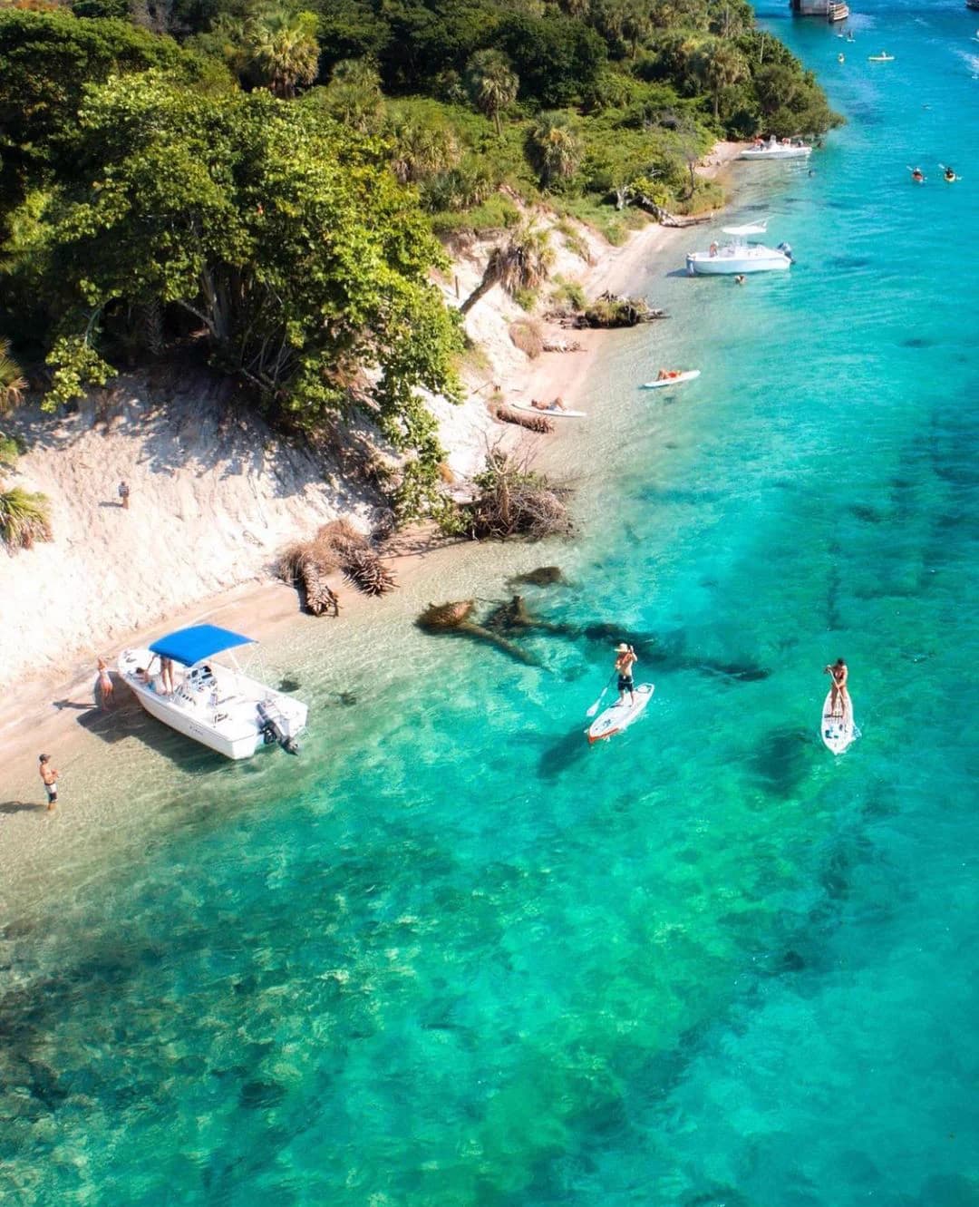 Golf cart services and dealers in Jupiter