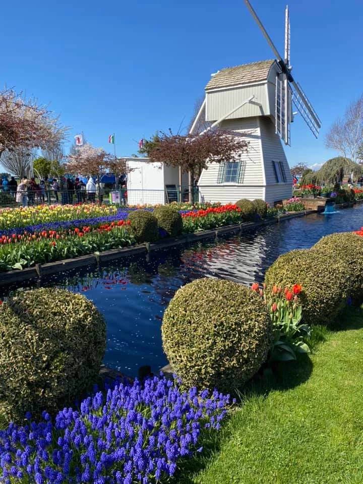 Golf cart services and dealers in Mount Vernon