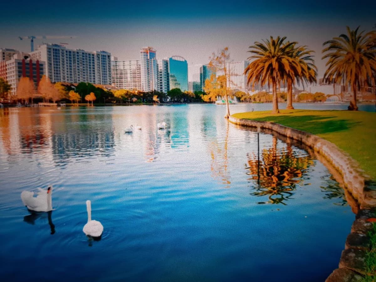 Golf cart services and dealers in Orlando