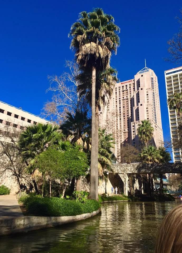 Golf cart services and dealers in San Antonio