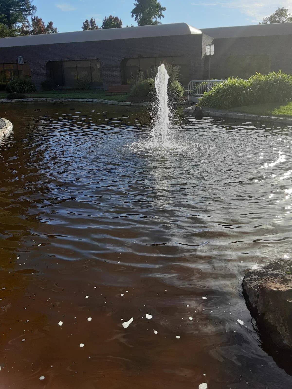 Golf cart services and dealers in Santa Rosa