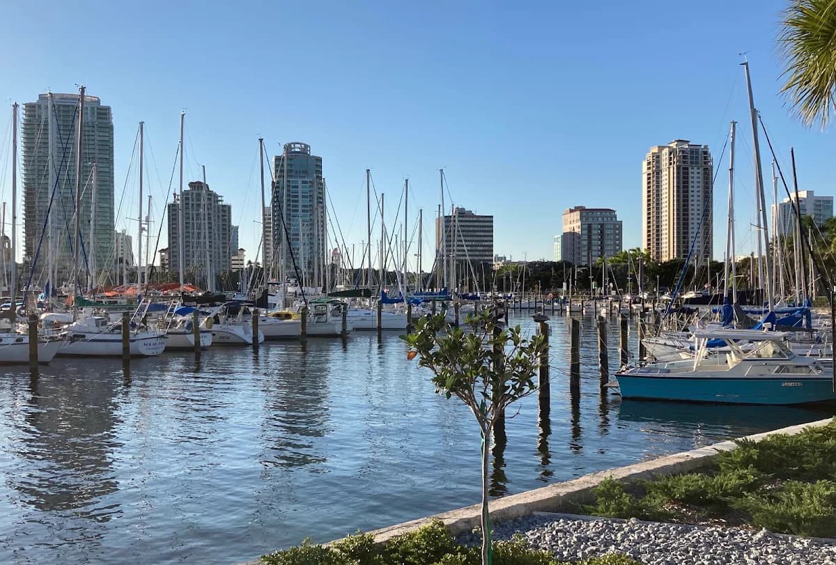 Golf cart services and dealers in St. Petersburg