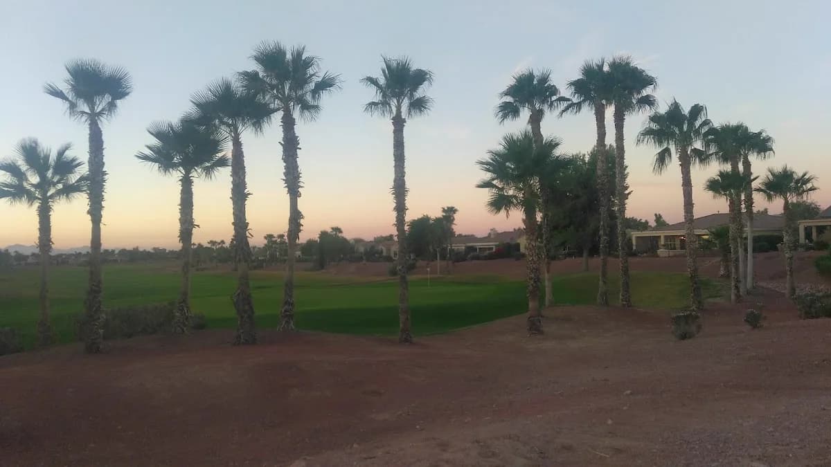 Golf cart services and dealers in Sun City West