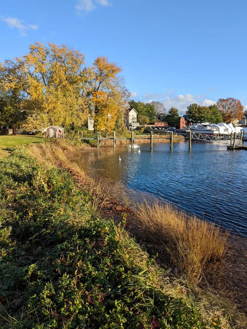 Golf cart services and dealers in Warwick