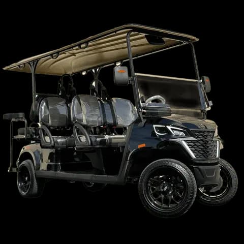 Aetric X6 Golf Cart