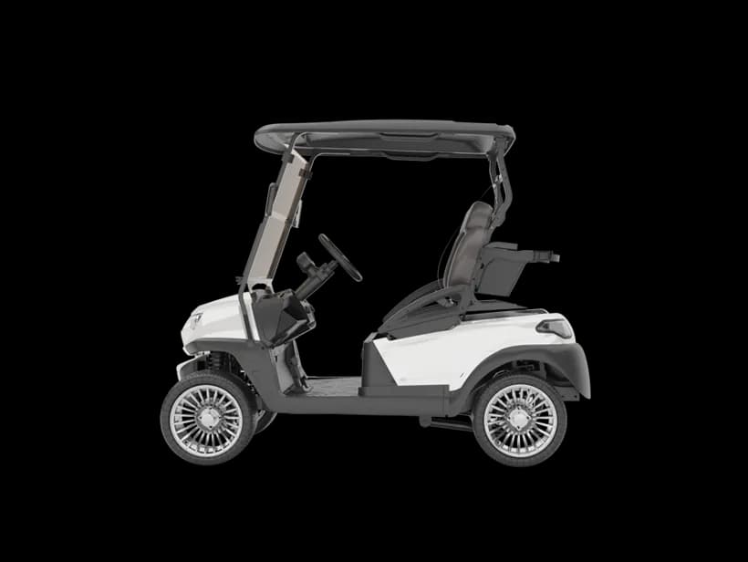 Atlas Carts 2 Passenger Golf Cart