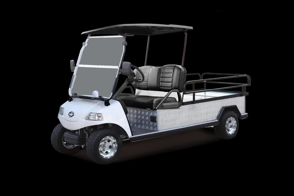 Evolution Electric Vehicle Turfman 1000 Golf Cart