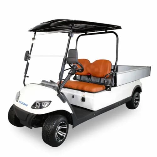 ICON EV C20U Golf Cart