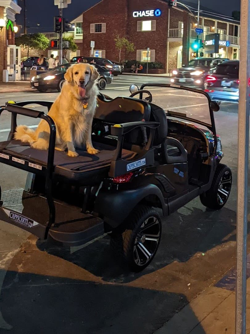 Capp's Carts - Main Image