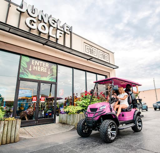 Venom-EV Street Legal Carts Virginia Beach