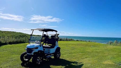 Beach Golf Kart Rentals of Amelia island - Main Image