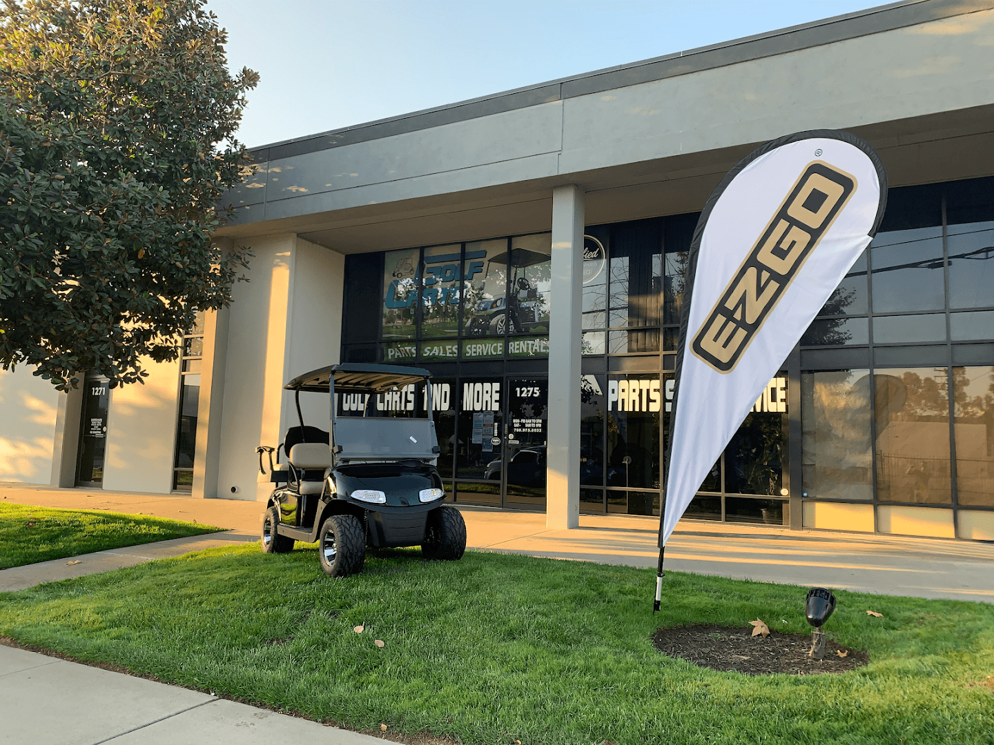 Golf Carts and More Inc