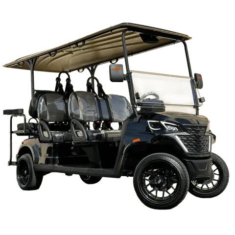 Aetric X6 | 6-Passenger X-Sport Golf Cart